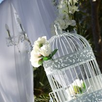 auraweddingsgoldcoast.com/